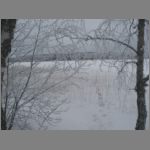 IMG_4455.JPG