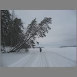 IMG_4468.JPG