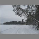 IMG_4469.JPG