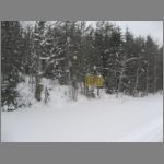 IMG_4471.JPG