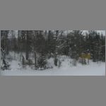 IMG_4472a.jpg