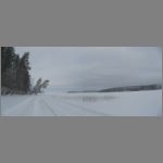 IMG_4495.jpg