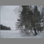 IMG_4498.JPG