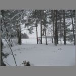 IMG_4502.JPG