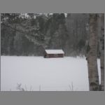 IMG_4503.JPG