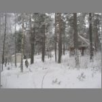 IMG_4504.JPG