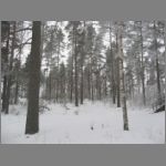 IMG_4505.JPG