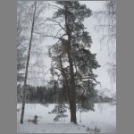 IMG_4508.JPG