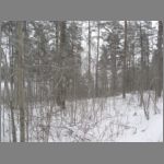 IMG_4525.JPG