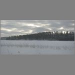 IMG_4556.jpg